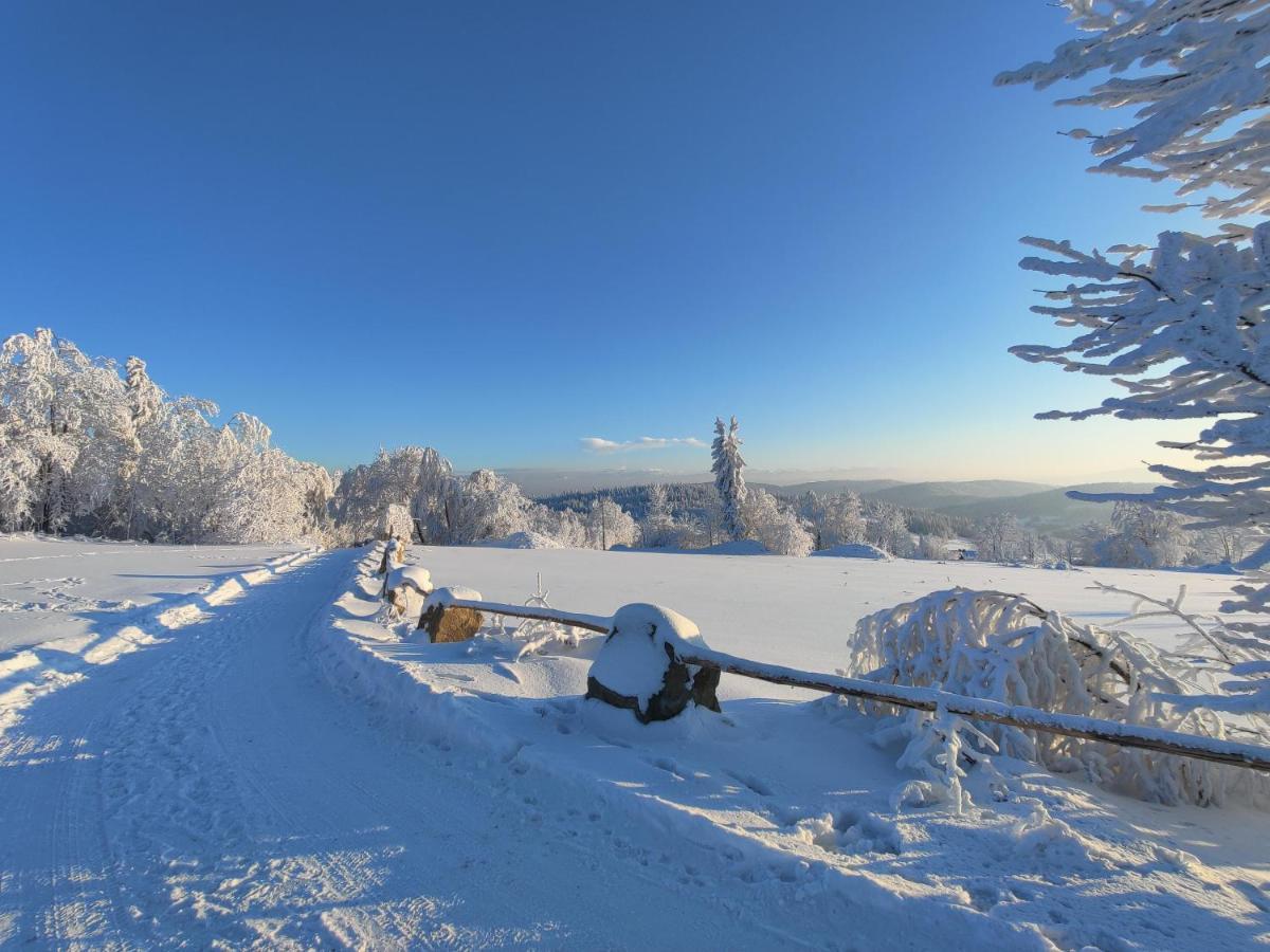 Wrzosowy Dwor - Spa Skomielna Czarna Bagian luar foto