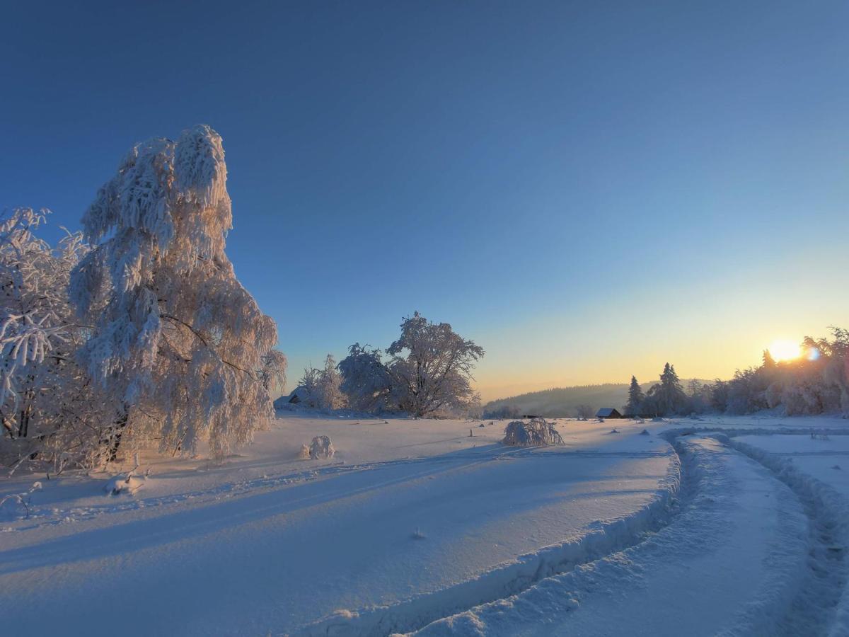 Wrzosowy Dwor - Spa Skomielna Czarna Bagian luar foto