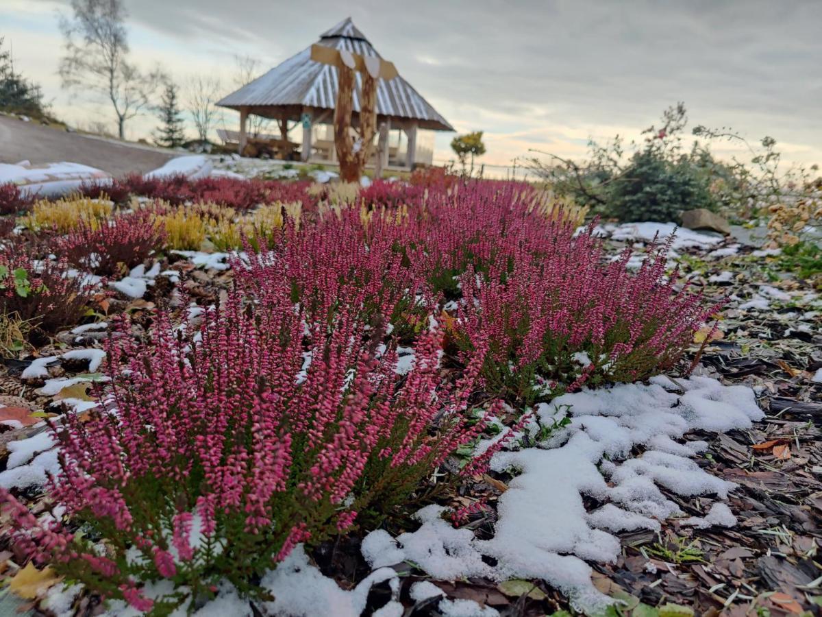Wrzosowy Dwor - Spa Skomielna Czarna Bagian luar foto